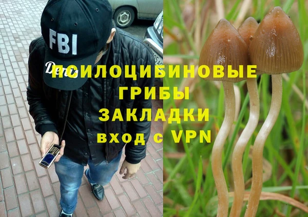 героин Пересвет