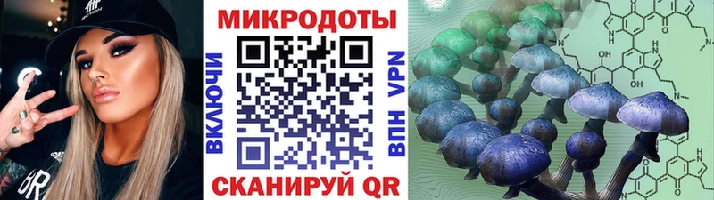 Купить  Таштагол  Псилоцибиновые грибы Magic Shrooms 